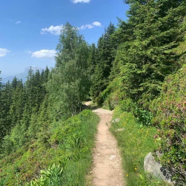 Chemin de randonnée proche de l'Hôtel La Féline Blanche à Saint Gervais les Bains en Haute Savoie dans les Alpes en France
