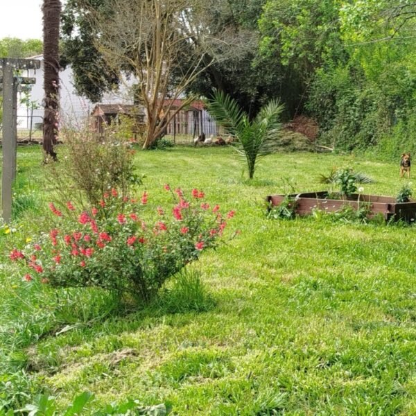 Jardin clos et fleuri du Gîte Entre Terre et Mer dans les Landes près du Pays Basque à Oeyregave