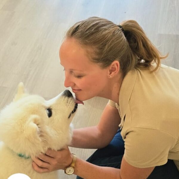 Chien chouchouté à la Pension Canine Dog Daycare: Garderie Chiens près de Disneyland Paris en Seine et Marne