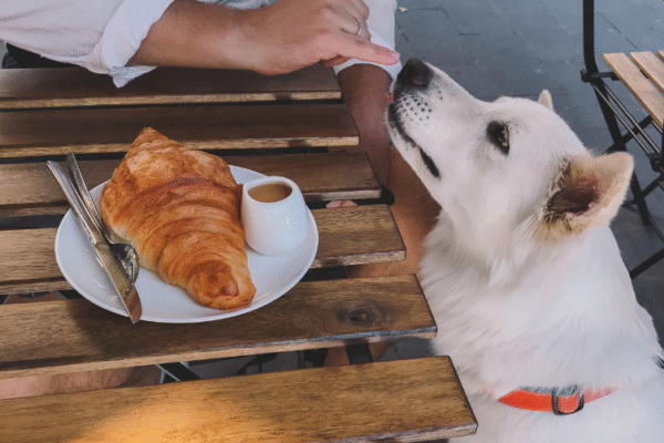 Restaurant Mamie’M