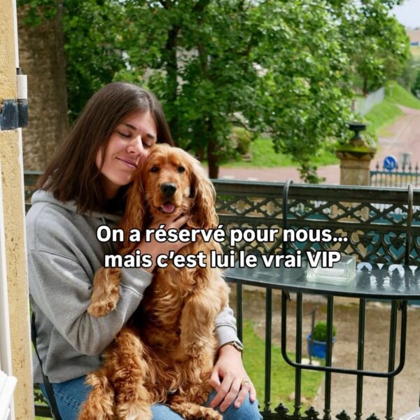Chien VIP au Domaine ForRest à Lay dans la Loire en Auvergne-Rhône-Alpes
