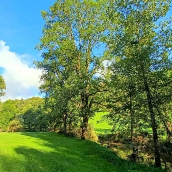 Jardin chez Gite d'Artéa à Vosges dans le Vittel dans le Grand Est