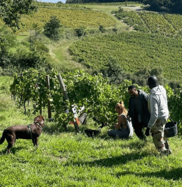 chien et oenotouristes visitent un vignoble en Bourgogne et Beaujolais
