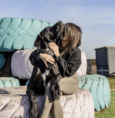 parcours de jeux pour chiens dans le centre de loisirs canins Doogo Club en Alsace