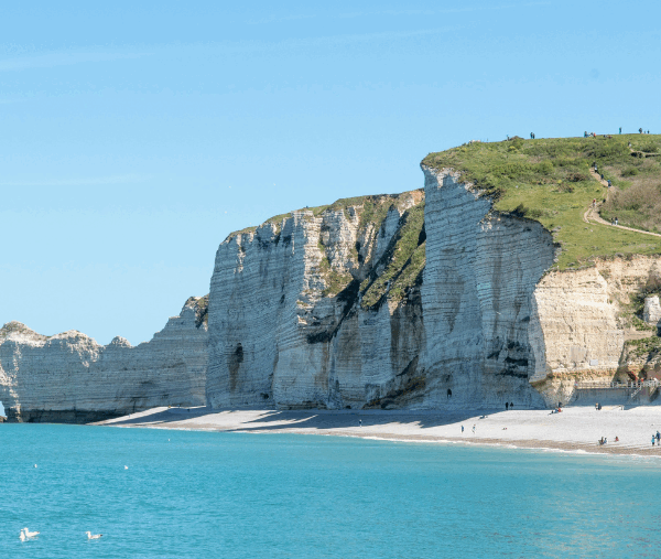 falaises d'Etretat au bord de la mer avec un chien