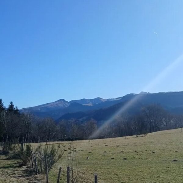 Gîte Les Sapins près de La Bourboule dans le Massif du Sancy en Auvergne