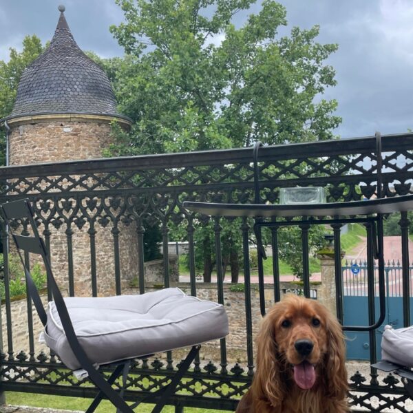 Chien sur le balcon vue parc du Domaine ForRest à Lay dans la Loire en Auvergne-Rhône-Alpes