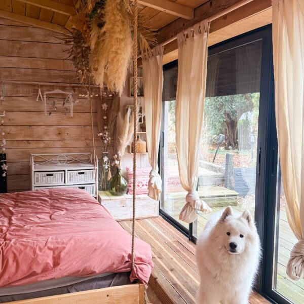 Chien dans un logement insolite au Domaine ForRest à Lay dans la Loire en Auvergne-Rhône-Alpes