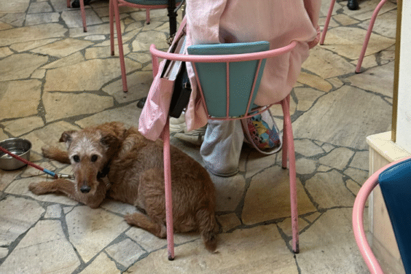 Restaurant L’Adresse