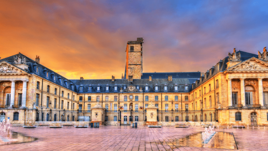 visite oenotouristique emblématique de la Bourgogne à Dijon avec un chien
