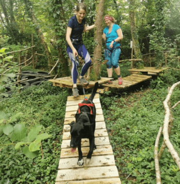 accrobranche pour chien au Will To Go Park dans la liste des centres de loisirs canins en France