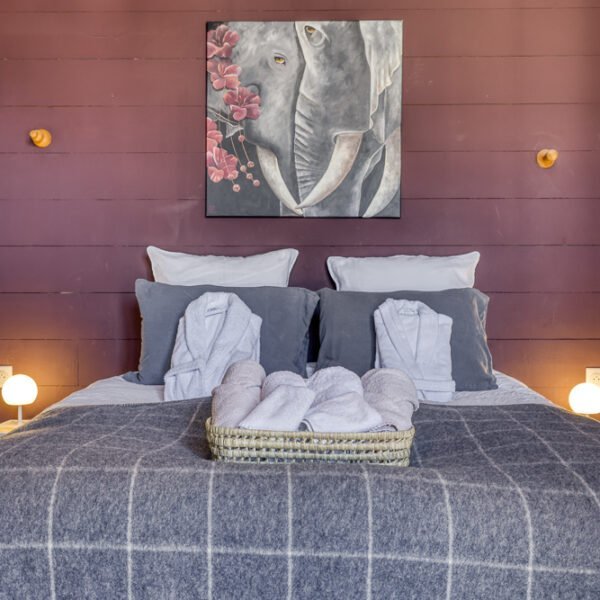 Chambre cosy de l'Hôtel La Féline Blanche à Saint Gervais les Bains en Haute Savoie dans les Alpes en France