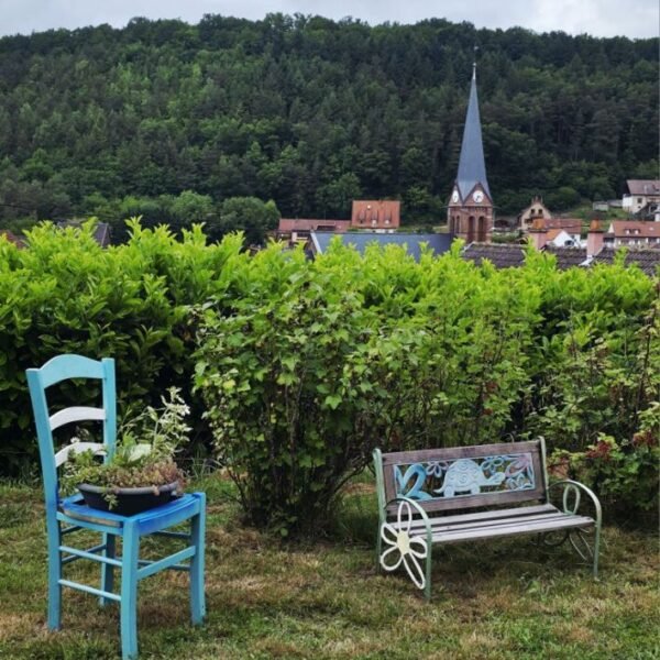 Jardin vue sur village au Chalet Aux Sons des Cloches en Alsace tout proche des Vosges