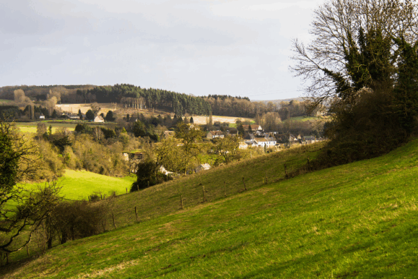 Le Pays de Vire au cœur de la Normandie avec un chien