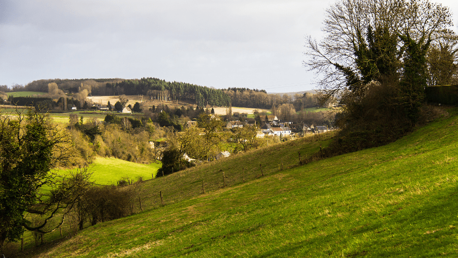 Le Pays de Vire au cœur de la Normandie avec un chien