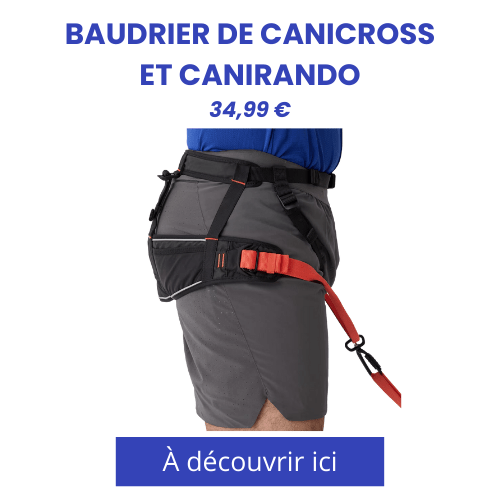 Vignette produit baudrier de traction Decathlon