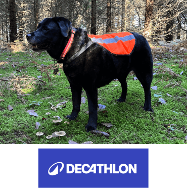 cape de visibilité pour chien en forêt et chasse