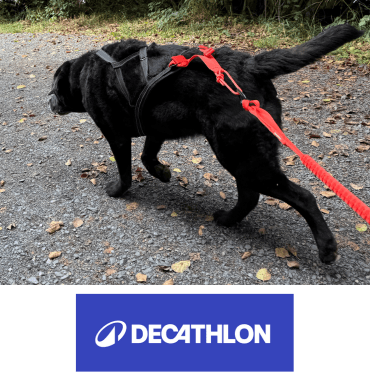 chien porte harnais de traction x-back Decathlon