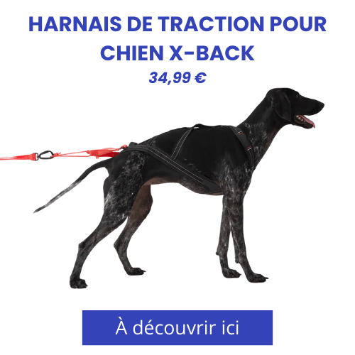 vignette produit harnais x-back Decathlon