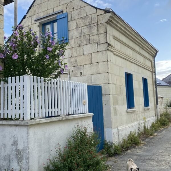 Chien devant le Gîte Casa Luna à Le Coudray-Macouard près de Saumur et des Châteaux de la Loire en Anjou