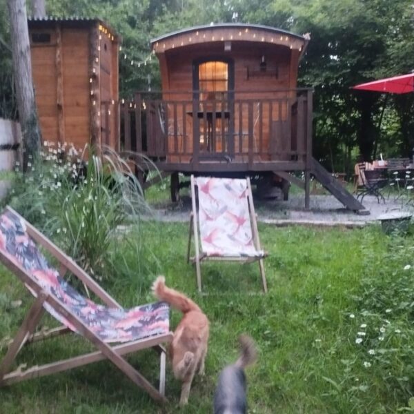 Roulotte de Terra Bosca, Logement insolite au cœur du Tarn dans le Haut Languedoc