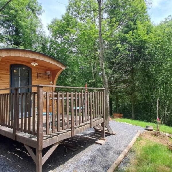 Roulotte de Terra Bosca, Logement insolite au cœur du Tarn dans le Haut Languedoc