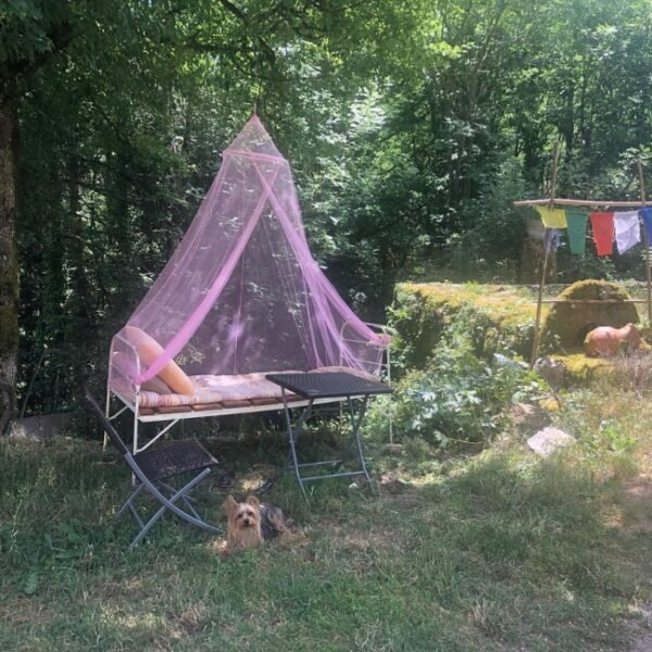 Chien dans le jardin du Gîte de Terra Bosca en plein cœur du Tarn dans le Haut Languedoc