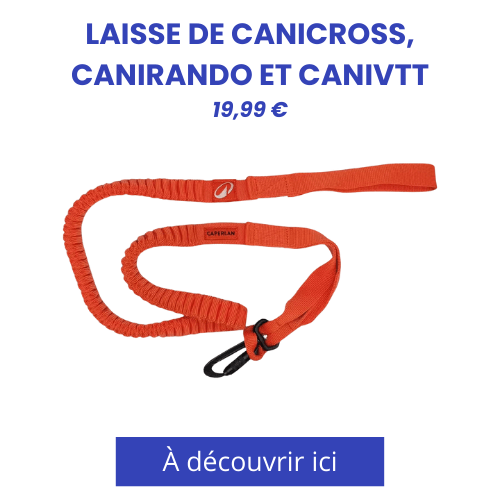 vignette produit longe de traction Decathlon