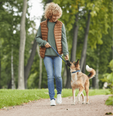 balade en forêt avec chien dans le Pays de Vire en Normandie
