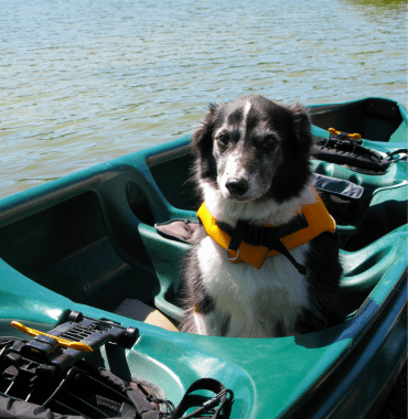 chien en canoë dans la Sarthe grâce à une base nautique dog-friendly