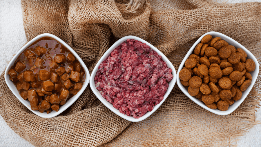 gamelles avec plusieurs types d'alimentations pour chien et chat : pâtée, viande et croquettes