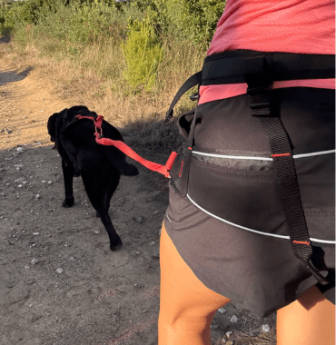 baudrier de traction Decathlon pour les sports canins comme le canicross la canirandonnée et la caniraquette