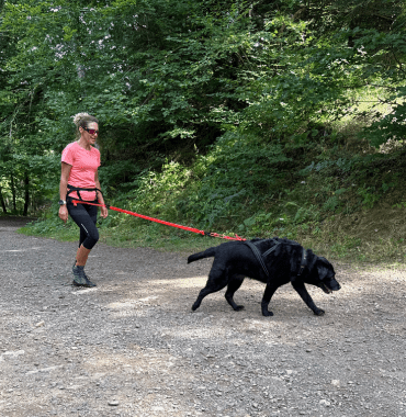 entraînement course de canicross avec matériel pas cher Decathlon