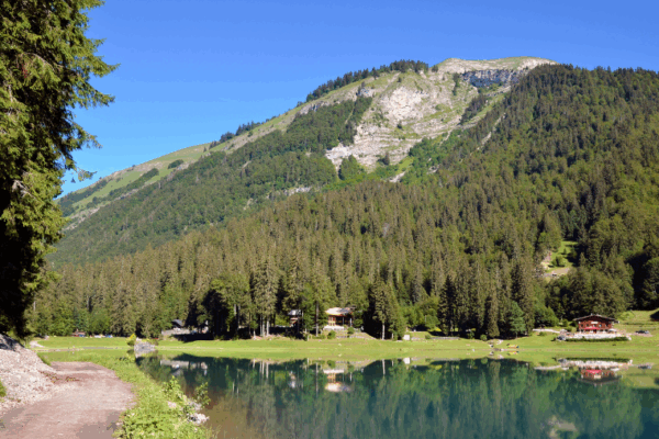 La Haute-Savoie en été avec votre chien : entre randonnées, lacs et visites