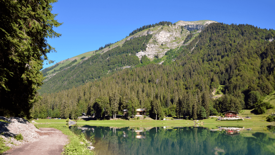 La Haute-Savoie en été avec votre chien : entre randonnées, lacs et visites