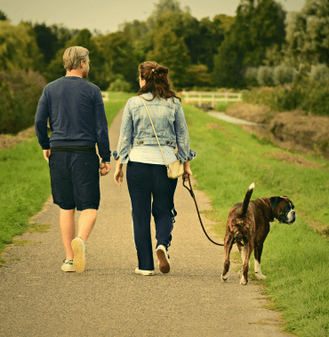 Balade en forêt dans la Sarthe avec un chien