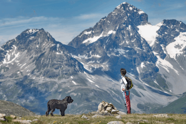 Vacances d’été actives avec son chien en montagne ⛰️🐕