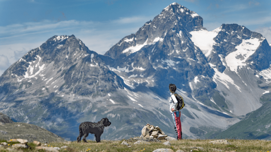 Vacances d’été actives avec son chien en montagne ⛰️🐕