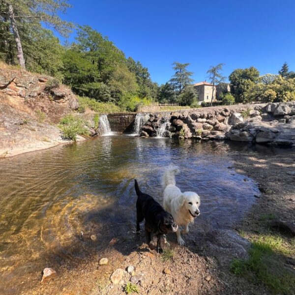 Camping Domaine Les Ranchisses