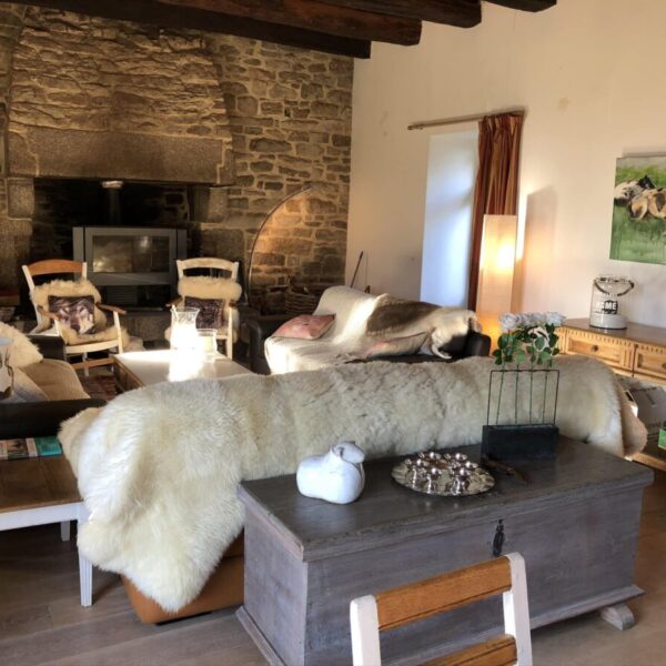 Salon confortable avec cheminée au Manoir de Botcol pour un Séjour insolite en Bretagne dans les Côtes d'Armor