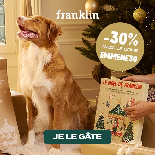 calendrier de l'Avent Franklin avec des friandises pour chien pour Noël