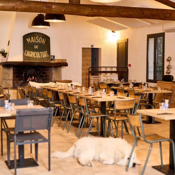 Salle du Restaurant La Cerise en Provence au pied du Mont Ventoux près de Carpentras aux portes du Lubéron dans le Sud de la France