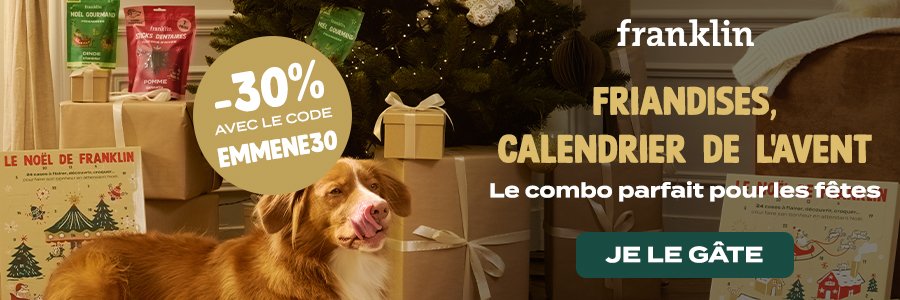 cadeau de Noël calendrier de l'Avent pour chien Franklin