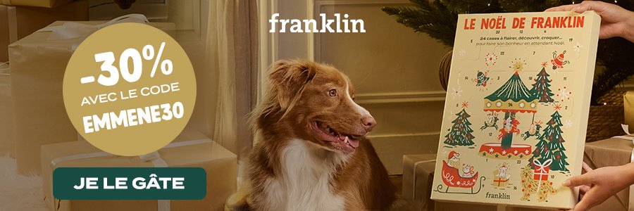 calendrier de l'Avent Franklin avec des friandises pour chien pour Noël
