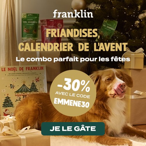 cadeau de Noël calendrier de l'Avent pour chien Franklin
