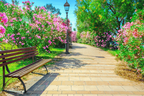 Les parcs et restaurants dog-friendly à Boulogne-Billancourt