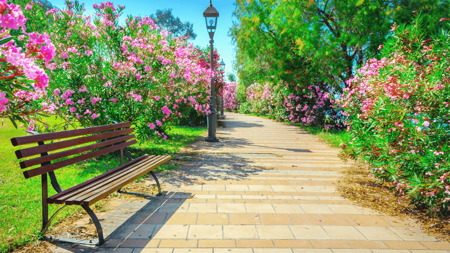 Les parcs et restaurants dog-friendly à Boulogne-Billancourt