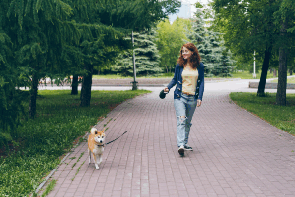 Promenades, visites et restaurants avec son chien à Issy-les-Moulineaux