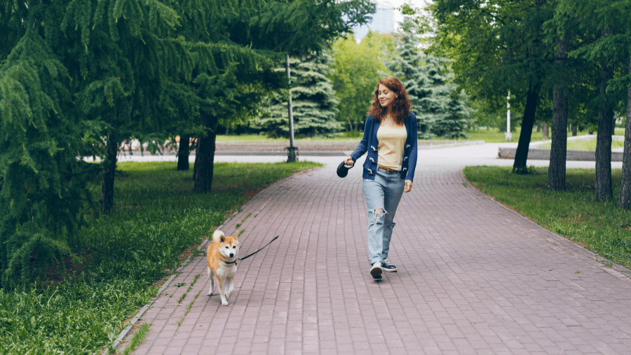 Promenades, visites et restaurants avec son chien à Issy-les-Moulineaux