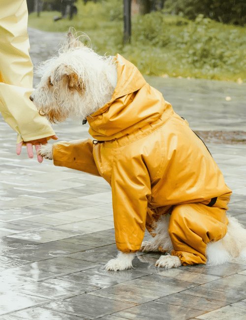 Matos de pluie